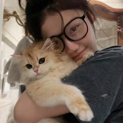 猎鹰飞过 海报