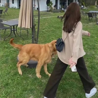 一眼万年 海报